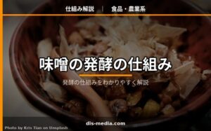 味噌の発酵の仕組みをわかりやすく解説
