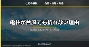 電柱が台風でも折れない理由