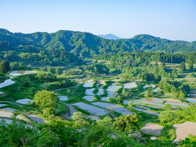 棚田と山の風景 - お米の産地の典型的な農村