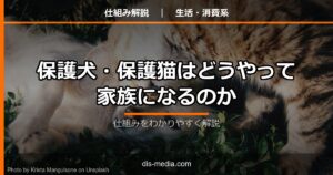 保護犬・保護猫の仕組み